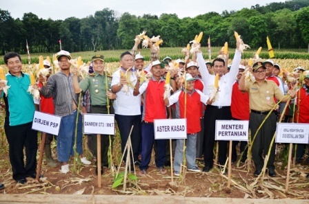 Danrem 073/Makutarama Melaksanakan Panen Jagung